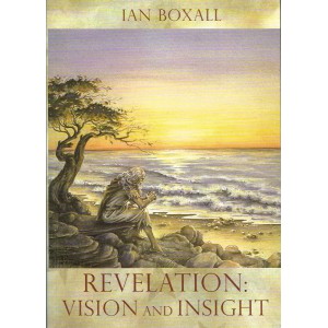 Revelation Vision And Insight by Ian Boxall